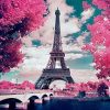 Cherry Blossoms In Paris Paint By Number