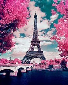 Cherry Blossoms In Paris Paint By Number