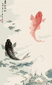 Chinese Koi Paint By Number