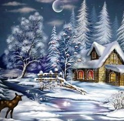 Christmas Snow Night Paint By Number