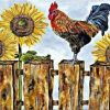 Cock With Sunflower Paint By Number