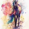 Colored Horse Paint By Number