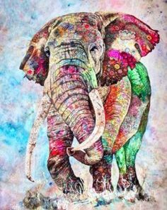Colored Splash Elephant Paint By Number