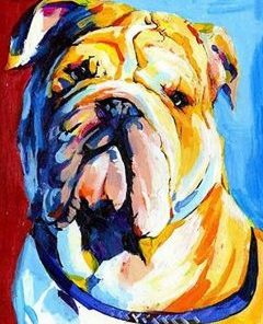 Colorful Bulldog Paint By Number