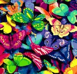 Colorful Butterflies Paint By Number