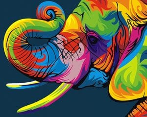 Colorful Elephant Paint By Number