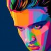 Colorful Elvis Presley Paint By Number