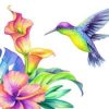 Colorful Hummingbird Paint By Number