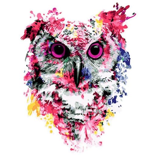 Colorful Owl Paint By Numbers