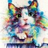 Colorful Splash Cat Paint By Number