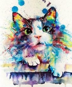 Colorful Splash Cat Paint By Number