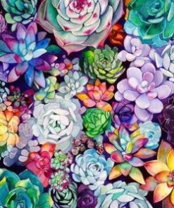 Colorful Succulent Garden Paint By Number