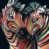 Colorful Zebra Couple Paint By Number