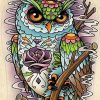 Colorful Owl On Stick Paint By Numbers