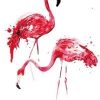 Coloring Flamingo Paint By Number