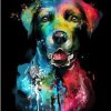 Companion Dog Paint By Number