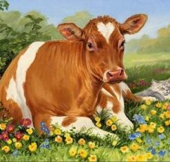 Cows And A Cat Paint By Number