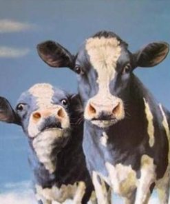 Two Cows Paint By Number