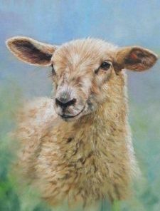Cute Little Sheep Paint By Number