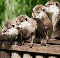 Cute Otters Paint By Number