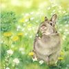 Cute Rabbit In Green Grass Paint By Number