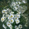 Daisy Flowers Paint By Number