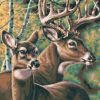Deer Couple Paint By Number