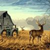 Deer On Farm Paint By Number