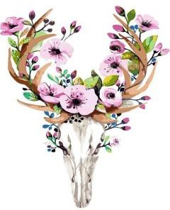 Deer Skull With Flowers Paint By Number