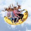 Deers On Banana Paint By Number