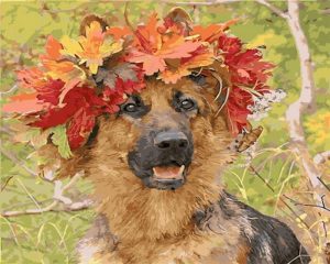 Dog Wearing Wreath Paint By Number