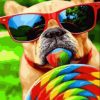 Dog With Lollipop Paint By Number