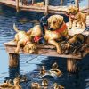 Dogs And Ducks Paint By Number