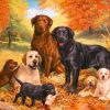 Dogs Family Paint By Number