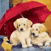 Dogs Under Umbrella Paint By Number