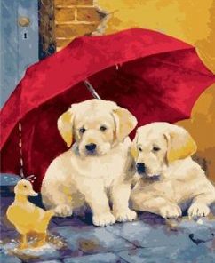 Dogs Under Umbrella Paint By Number