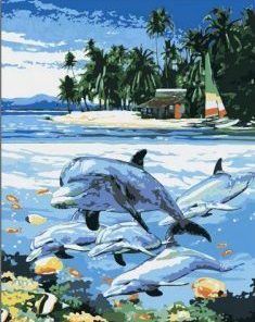 Dolphin Near The Beach Paint By Number