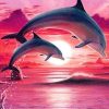 Dolphins Show At Sunset Paint By Number