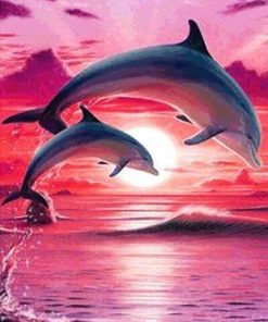 Dolphins Show At Sunset Paint By Number