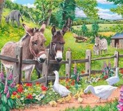 Donkeys And Goose Paint By Number