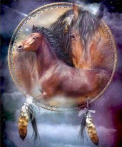 Dream Catchers Horses Paint By Number