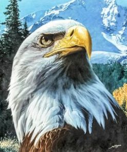 Eagle Looks Up Paint By Number