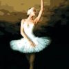 Elegant Ballerina Paint By Number