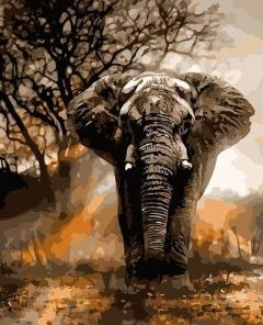 Elephant Animals Paint By Number