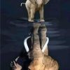 Elephant Reflection Paint By Number