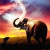 Elephant Sunset Paint By Number
