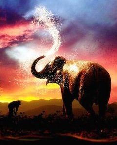 Elephant Sunset Paint By Number