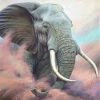 Elephants In Moon Sand Paint By Number