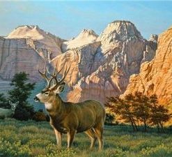 Elk In The Sawtooths Paint By Number