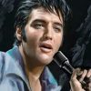 Elvis Presley Portrait Paint By Number